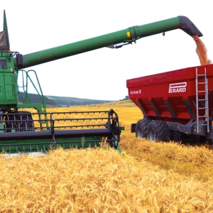 Inginer agronom